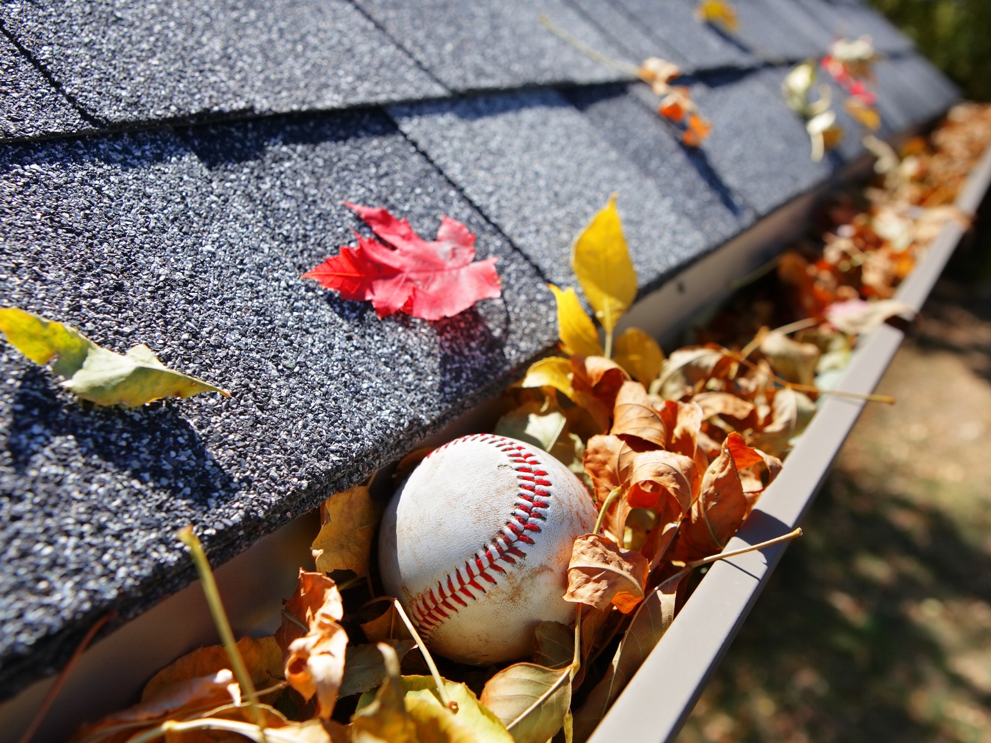 The Ultimate Guide to Gutter Maintenance & Replacement in Jackson, NJ: Costs, Common Issues, and Local Tips