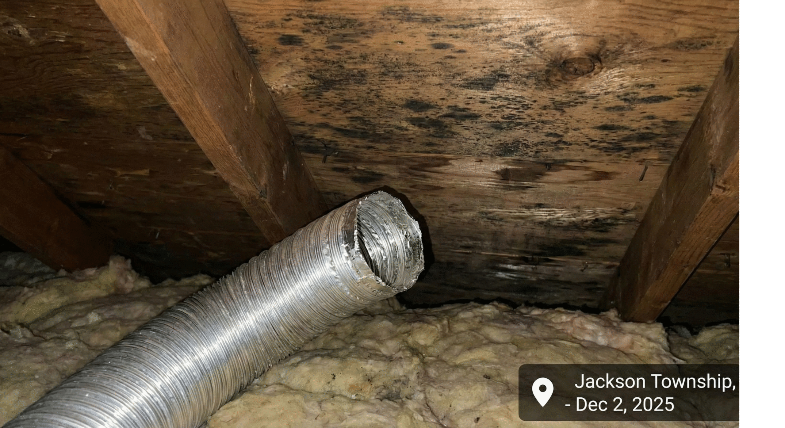 What Causes Mold in Attic? NJ Bathroom Ventilation Problems