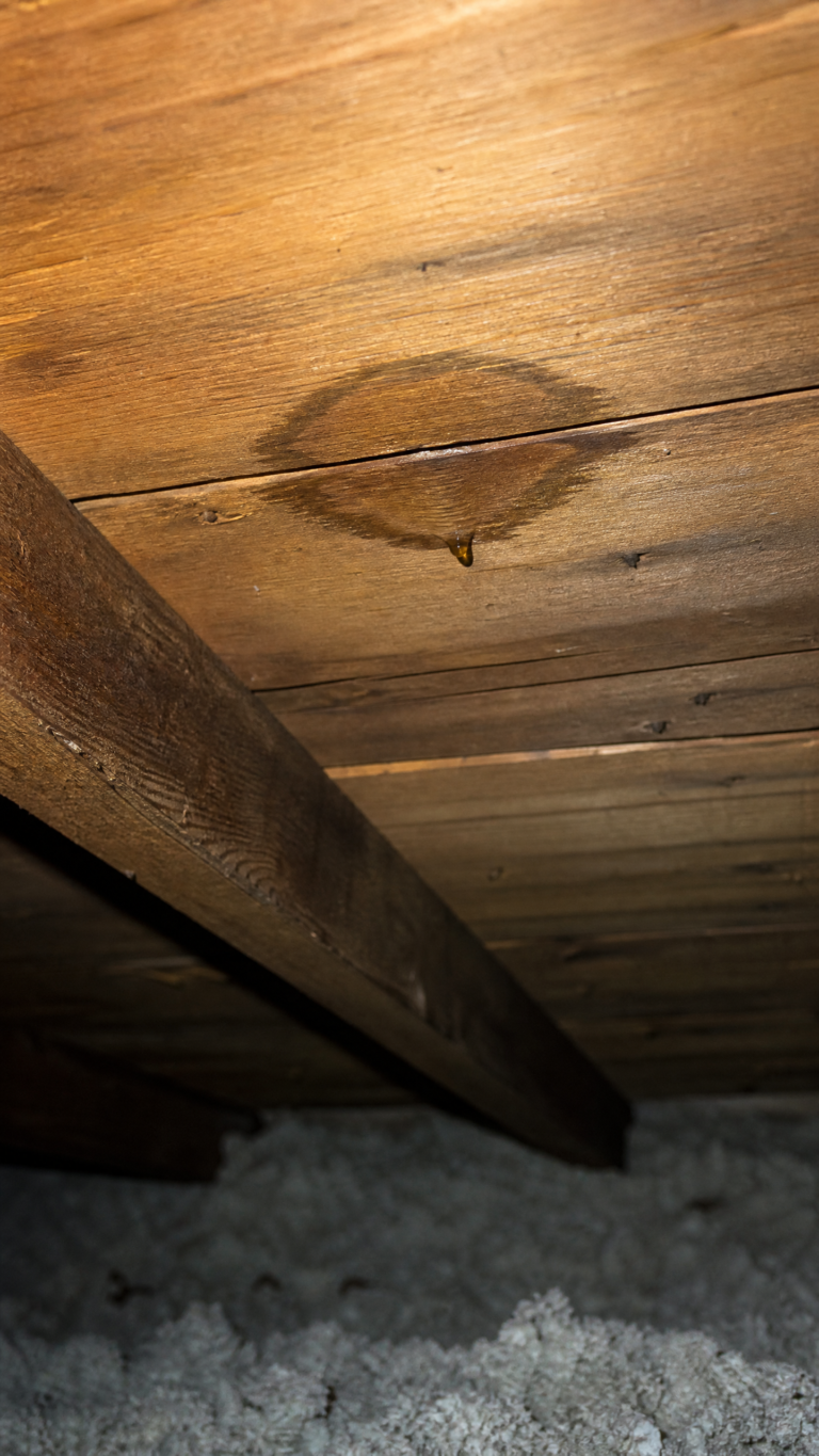 What Satellite Roof Estimates Miss | NJ Roofer Explains Elegant Exteriors LLC
