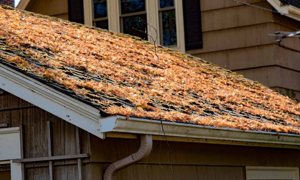autumn-leaves-on-shingled-roof-with-rain-gutters.jpg